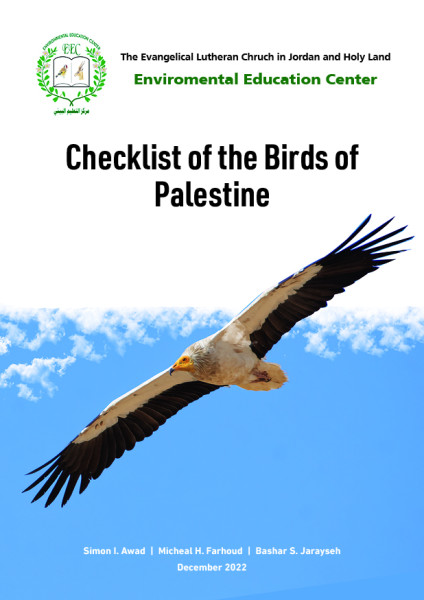 التعليم البيئي: 393 نوع طيور في دولة فلسطين