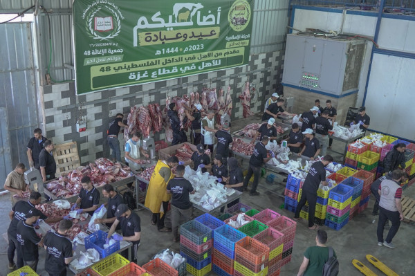 الإغاثة48-الحركة الإسلامية: توزيع 50 طنًّا من اللحوم على الأسر المتعففة بغزة خلال العيد