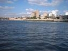 مواطنون دونما وطن بقلم:سجا شوكت العبدلي