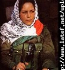 من مقبرة الأرقام ، تنبعث إلياذة فلسطين   بقلم : م. زياد صيدم