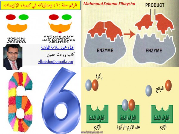 الرقم ستة (6) ومدلولاته في كيمياء الإنزيمات بقلم محمود سلامة الهايشة