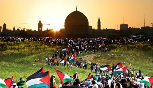 مـاذا لـو...؟ بقلم:ميسون كحيل مـاذا لـو...؟ بقلم:ميسون كحيل