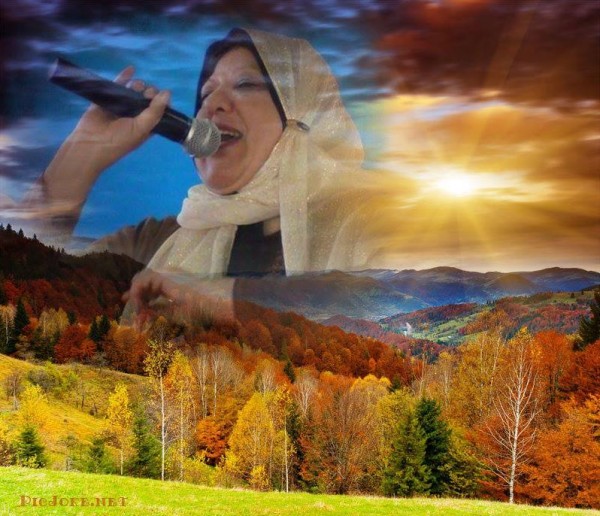 أنا لست مثلهن للشاعرة فاطمة الزهراء فلا أنا لست مثلهن للشاعرة فاطمة الزهراء فلا