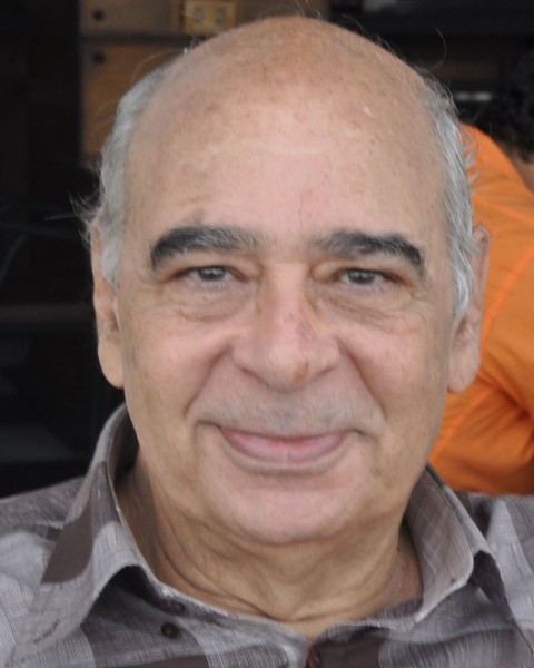 الطائرات الورقية والدولة اليهودية بقلم د أحمد الخميسي دنيا الرأي