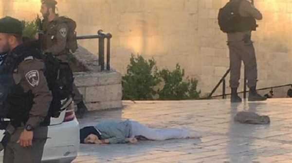 إعدام الطفولة على أسوار القدس !!بقلم:د .نيرمين ماجد البورنو إعدام الطفولة على أسوار القدس !!بقلم:د .نيرمين ماجد البورنو