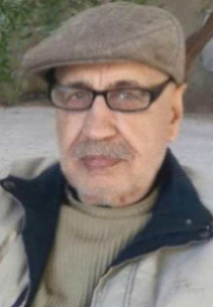عن الدور المصري في الصراع الفلسطيني الإسرائيلي عن الدور المصري في الصراع الفلسطيني الإسرائيلي
