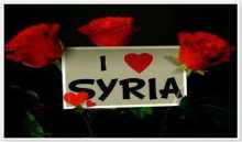 أحبك سوريتي: هديتي إلى كل محبي سورية : جمال قارصلي