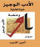 عن ديوان "ومضة" للكاتب أمين الذيب